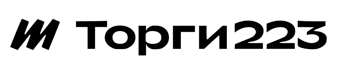 logo-Torgi223